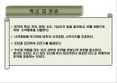 대포 5페이지