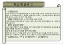 대포 6페이지
