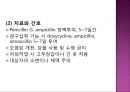 감염과정병원소병원체숙주비특이적 방어기전항미생물성 단백질감염 인체반응감염성 질환감염 예방과 관리 47페이지