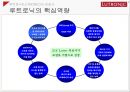 고성장 고부가가치 산업피부미용에 대한 관심루트로닉의 핵심역량루트로닉의 수출국가해외 전략사례의료기기 시장 특성시장 확대 전략 9페이지