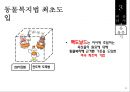맥도날드 패스트푸드맥도날드 햄버거시장맥도날드 그린 캠페인맥도날드 윤리경영사례맥도날드 비윤리사례맥도날드 경영전략사례 21페이지