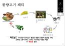 맥도날드 패스트푸드맥도날드 햄버거시장맥도날드 그린 캠페인맥도날드 윤리경영사례맥도날드 비윤리사례맥도날드 경영전략사례 23페이지