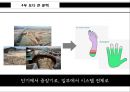 주의력이란자기인식주의력 해부집중의 훈련법리더의 집중력리더의 집중력 32페이지