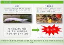 지속 가능한 사업자연환경 사업의 영향력기후변화에너지 불균형성재생 가능한 자원이란대기오염폐기물 관리 10페이지