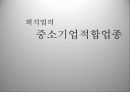 중소기업적합업종중소기업적합업종 대안중소기업 적합업종 가이드 라인국내기업 역차별프랜차이즈 가맹점주 1페이지