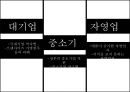 중소기업적합업종중소기업적합업종 대안중소기업 적합업종 가이드 라인국내기업 역차별프랜차이즈 가맹점주 8페이지