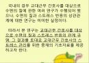 간호 연구 및 통계교대근무 간호사스트레스 반응스트레스 반응 측정도구 5페이지