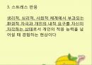 간호 연구 및 통계교대근무 간호사스트레스 반응스트레스 반응 측정도구 9페이지