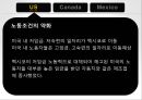 NAFTANAFTA-미국의 노동자노동조건의 약화고용의 양극화 심화일자리 소멸비정규직 증가소득불평등 증가사회복지 후퇴 8페이지