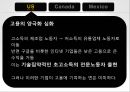 NAFTANAFTA-미국의 노동자노동조건의 약화고용의 양극화 심화일자리 소멸비정규직 증가소득불평등 증가사회복지 후퇴 11페이지