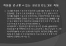 기독교의 이해생명윤리생명윤리의 개념생명윤리의 분류안락사낙태동물실험인간복제 8페이지