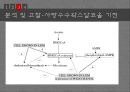 기능성원료인정현황혈중중성지방개선콜레스테롤개선시장현황오메가-3 24페이지