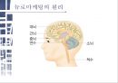 뉴로마케팅마케팅과 뇌과학뉴로마케팅의 원리뇌구조 테스트마케팅과 뇌과학블라인드 테스트뉴로마케팅의 원리앵커리지 8페이지