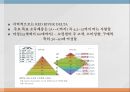 국제경영론시장세분화포지셔닝소비자분석경쟁사확인경쟁우위선택인구통계적 변수지역적변수 8페이지