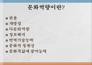 미국에서의 문화역량문화역량이란문화역량의 개념직업능력으로서 문화역량발달과정으로서의 문화역량학습과정으로서의 문화역량문화역량의 구성요소 3페이지