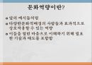미국에서의 문화역량문화역량이란문화역량의 개념직업능력으로서 문화역량발달과정으로서의 문화역량학습과정으로서의 문화역량문화역량의 구성요소 4페이지