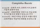 미국에서의 문화역량문화역량이란문화역량의 개념직업능력으로서 문화역량발달과정으로서의 문화역량학습과정으로서의 문화역량문화역량의 구성요소 20페이지