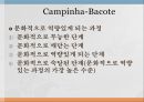 미국에서의 문화역량문화역량이란문화역량의 개념직업능력으로서 문화역량발달과정으로서의 문화역량학습과정으로서의 문화역량문화역량의 구성요소 21페이지