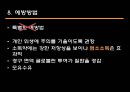 로타 바이러스 감염로타 바이러스란역학조사방법역학조사결과진단 및 검사치료 및 관리로타 바이러스 사례 정리 10페이지