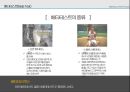 베타테스트제품 사용 테스트베타테스트의 종류데모버전과의 차이소비자 특성홈플러스의 가상스토어 5페이지