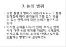 안락사의 관한 최근 판결네덜란드 세계 최초로 안락사 합법화안락사 허용 국가자의적 안락사비자의적 안락사소극적 안락사 8페이지