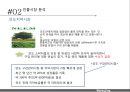치약브랜 글로벌2080 치약 해외시장진출글로벌 현지화전략인도치약시장인도시장진출사례 8페이지