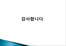 현대사회학 이론레이몽 부동방법론적 개인주의레이몽 부동의 사회학적공격과 상호작용이데올로기와 방법론적 20페이지
