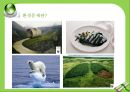 환경문제란10대 환경문제기후변화에너지화학물질유해물질중금속대기오염오존층 파괴 4페이지