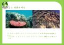 환경문제란10대 환경문제기후변화에너지화학물질유해물질중금속대기오염오존층 파괴 18페이지