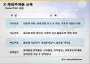 해외파견자 관리해외파견 근무해외파견 근무의 리스크해외파견자 교육해외파견자 적응 15페이지