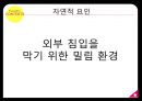 치첸이트사마야문명이란유적 형성마야 달력천문학 11페이지