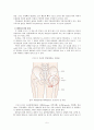 휜다리의 원인 분석 6페이지