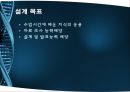 빛의 조도에 따른 밝기 측정 3페이지