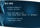 빛의 조도에 따른 밝기 측정 17페이지