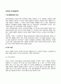 피아제의 인지발달이론의 주요개념 인지발달단계 인지발달이론의 사회복지실천에의 개입 2페이지