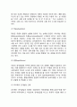 피아제 인지발달이론 4페이지