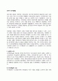 유아기 인지발달 2페이지