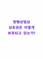 현행상법상 상표권보호 1페이지