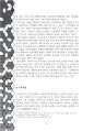 탄자니아의 정치적 안정성 요인분석 21페이지