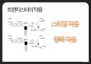 전기전자-트랜지스터 10페이지