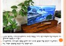 디스플레이LCDOLED 시장의 성장과 전망 9페이지