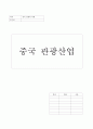 중국경제의 이해 - 중국 관광산업 중심으로 1페이지