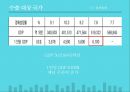 해외시장조사론 19페이지