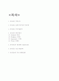 유니클로 기업분석과 유니클로 경영마케팅전략 분석 2페이지