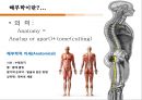 컨디셔닝 스포츠마사지 테이핑 7페이지