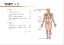 컨디셔닝 스포츠마사지 테이핑 9페이지