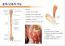 컨디셔닝 스포츠마사지 테이핑 12페이지
