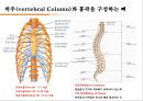 컨디셔닝 스포츠마사지 테이핑 14페이지
