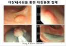 암 걱정 없는 행복한 세상 46페이지