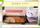 항공기 기내 서비스 14페이지